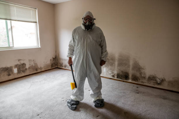 Best Mold Remediation for Specific Building Types in El Dorado, AR